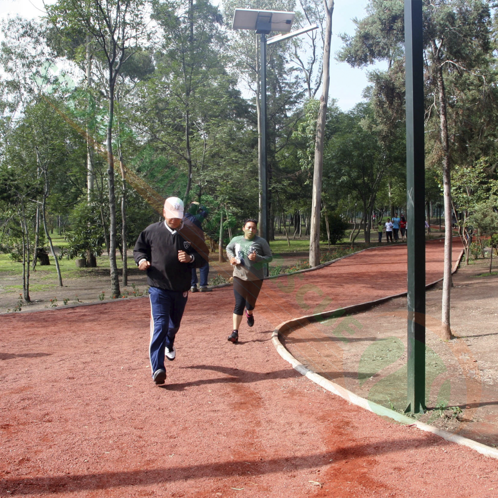 sendero 1